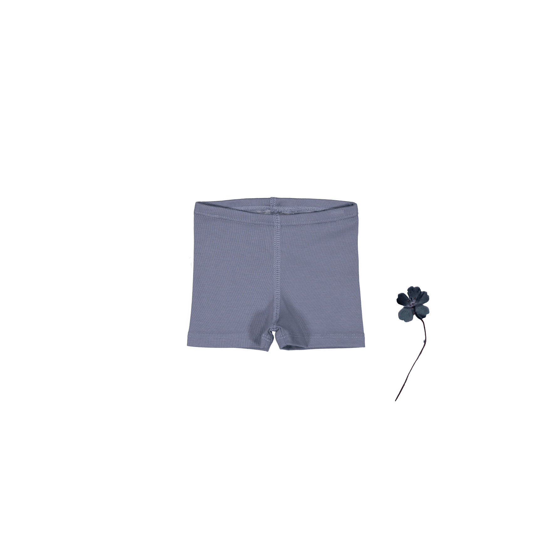 The Short - Midnight Short Lovely Littles