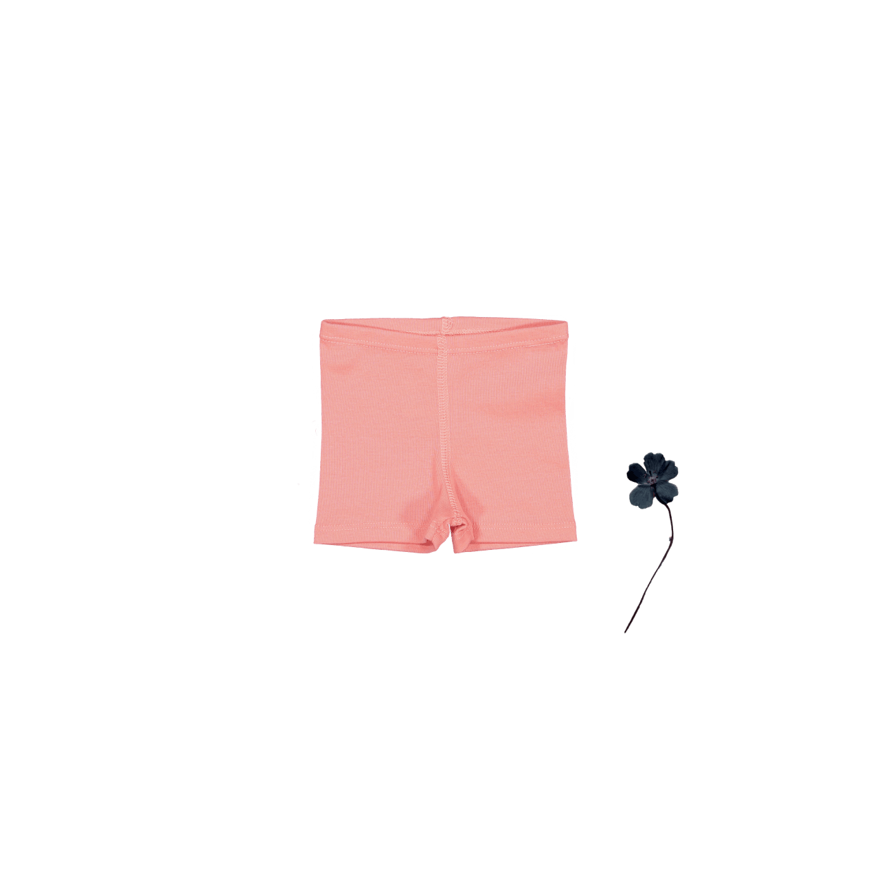 The Short - Coral Short Lovely Littles