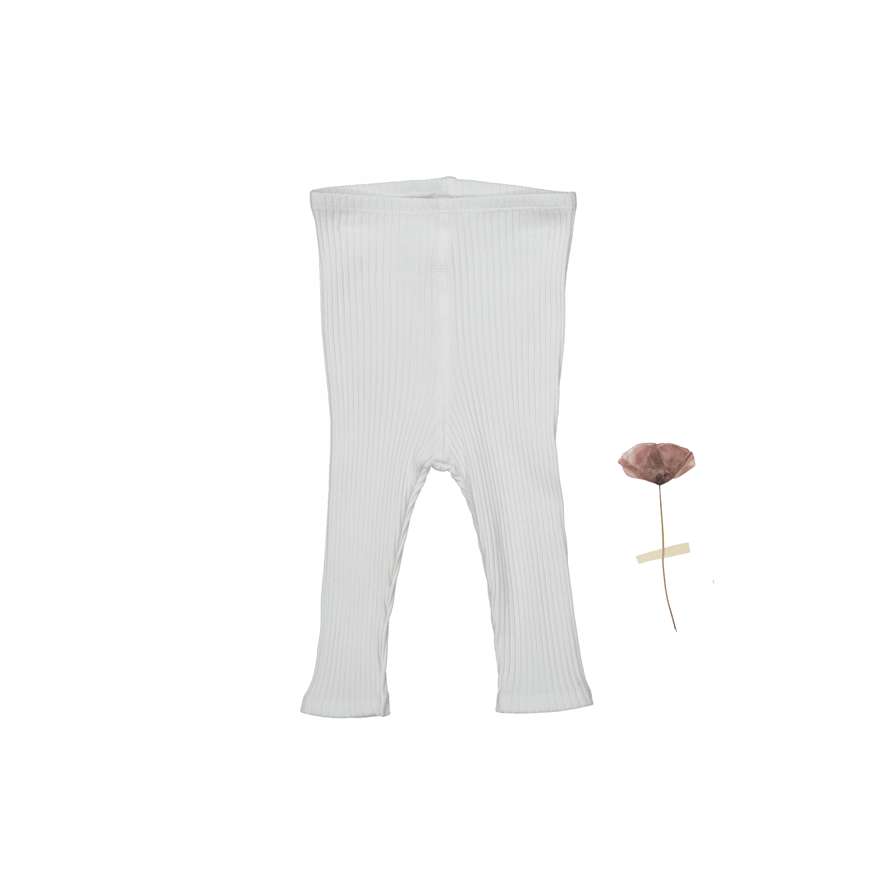 The Legging - Bone Leggings Lovely Littles