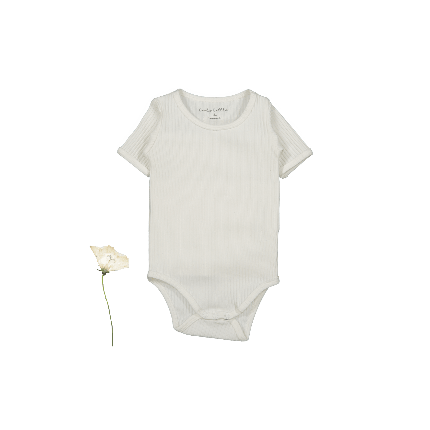 The Short Sleeve Onesie - Bone Short Sleeve Onesie Lovely Littles