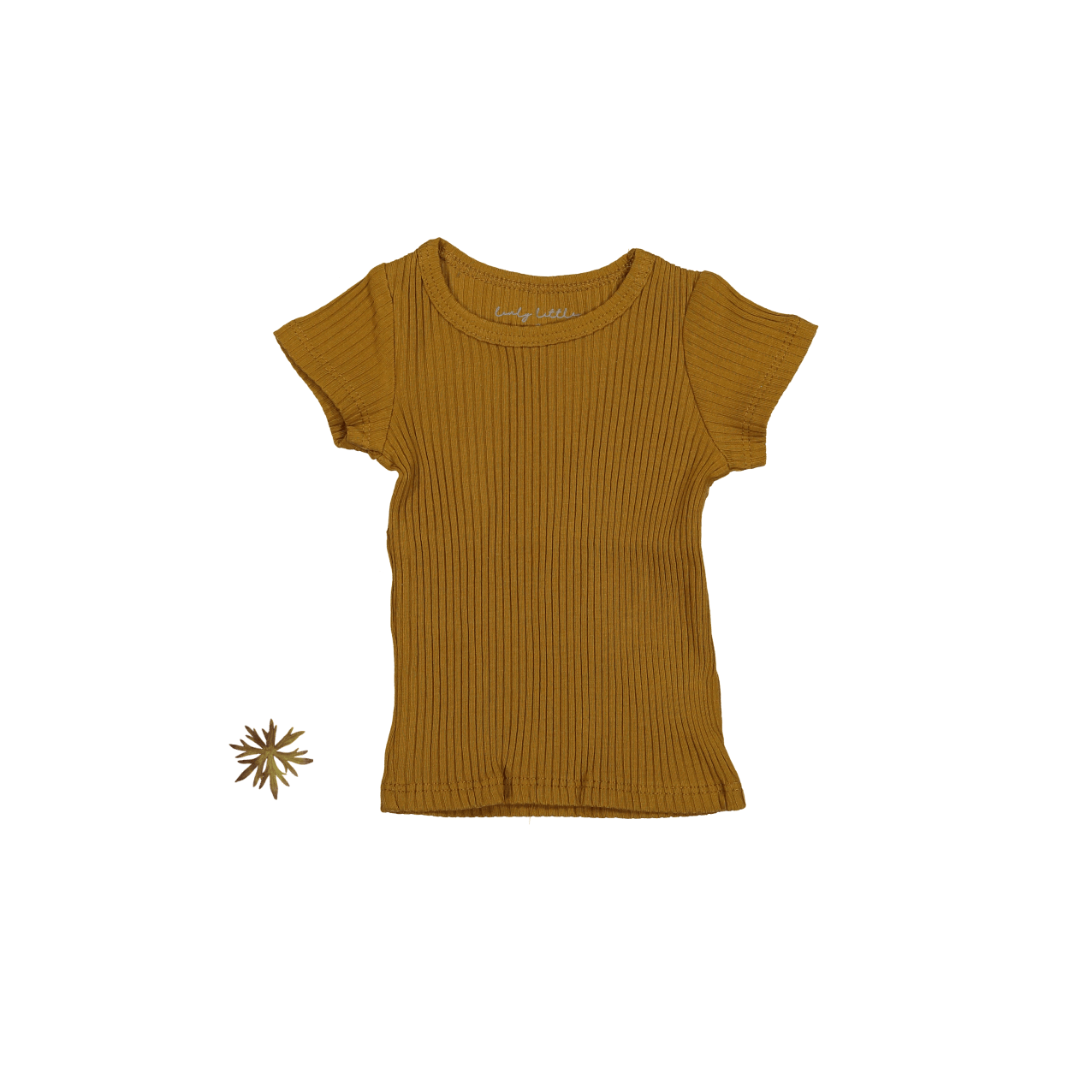 The Short Sleeve Tee - Cider Short Sleeve Tee Lovely Littles