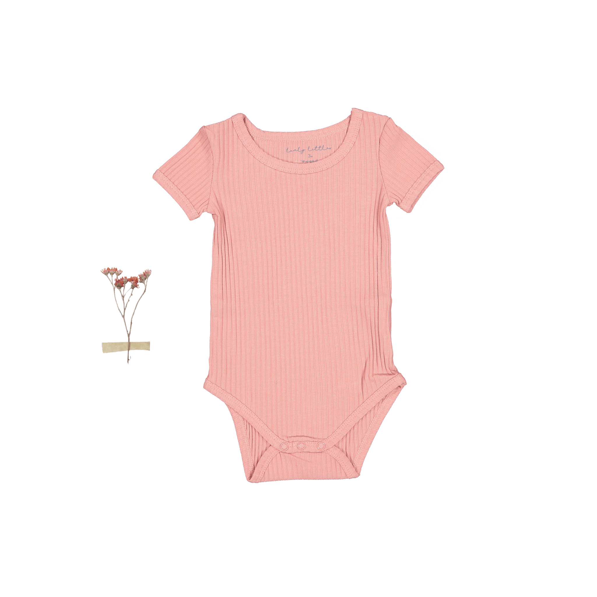 The Short Sleeve Onesie - Rose Short Sleeve Onesie Lovely Littles