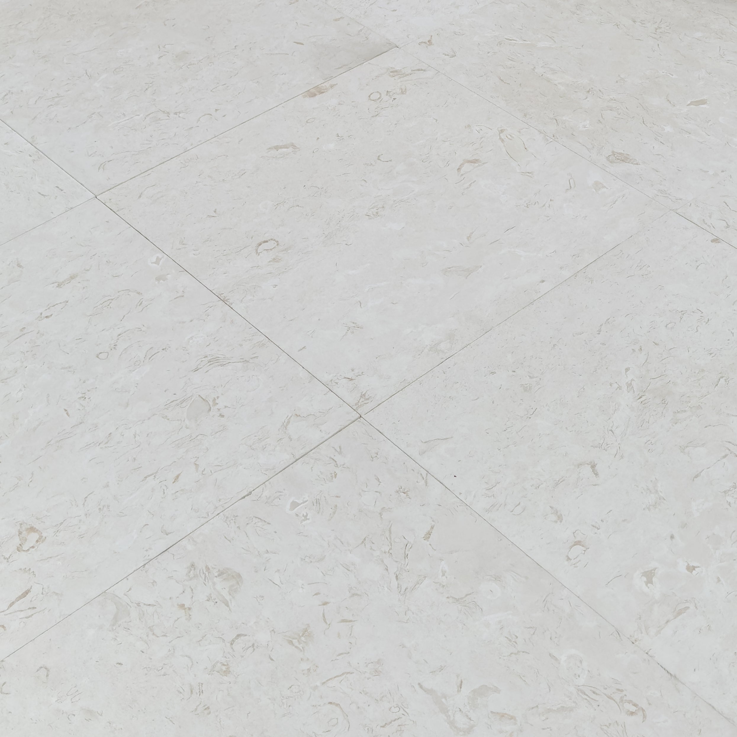 Shell Stone White Limestone Tiles 24"x24" Floor and Wall Tile - Belair Collection