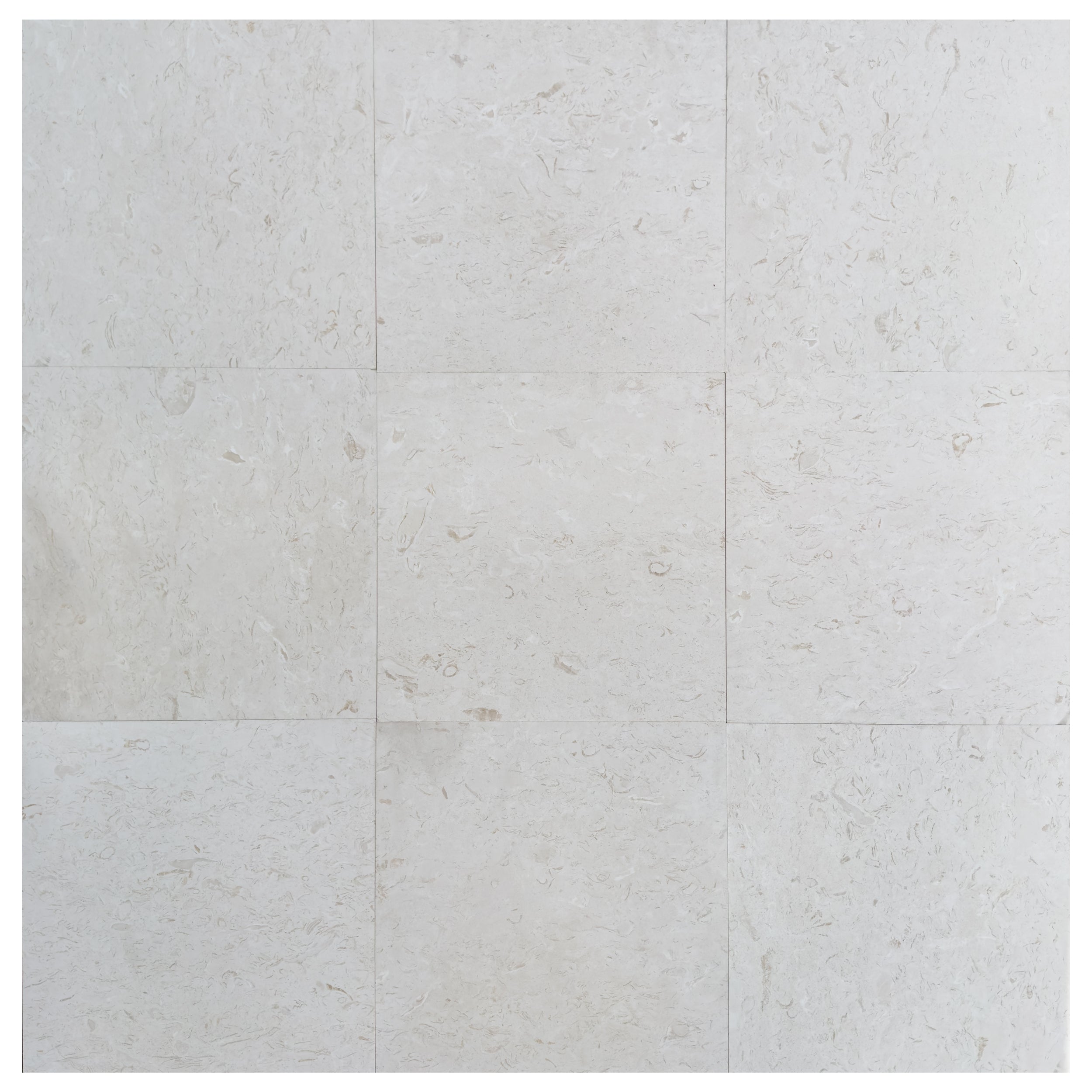 Shell Stone White Limestone Tiles 24"x24" Floor and Wall Tile - Belair Collection
