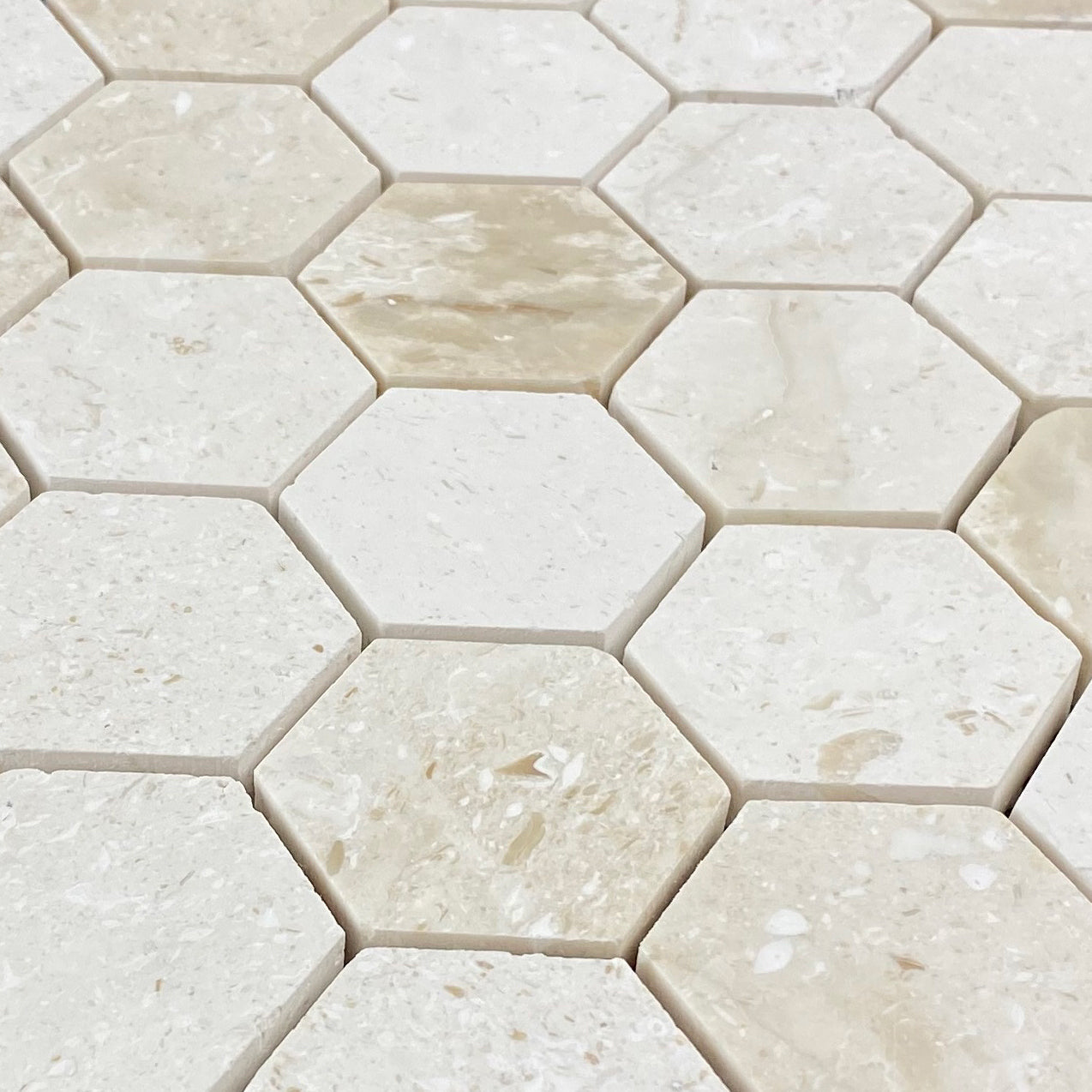 Shell Stone Limestone 2" Hexagon Honed on 12" x 12" Mesh Mosaic Tile - Belair Collection