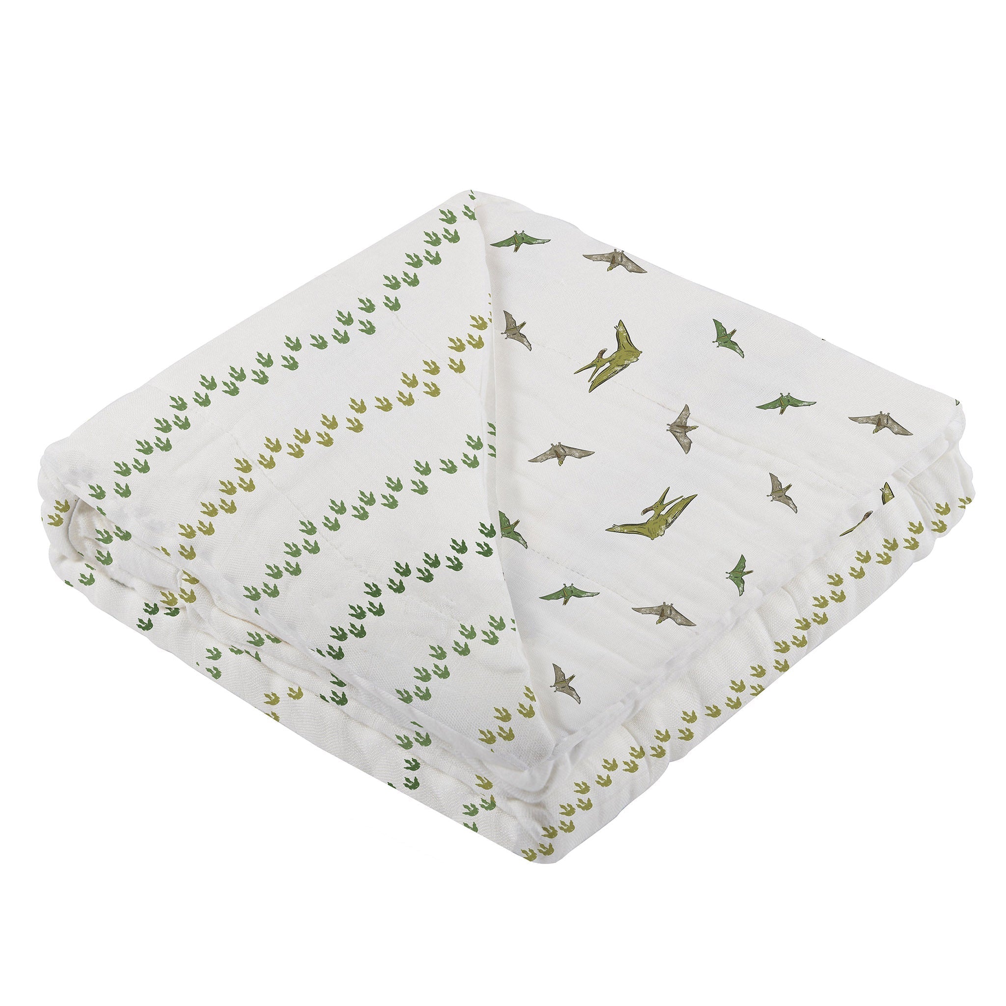 Pteranodon & Dino Feet Newcastle Blanket & Pteranodon Swaddle Gift Box Set