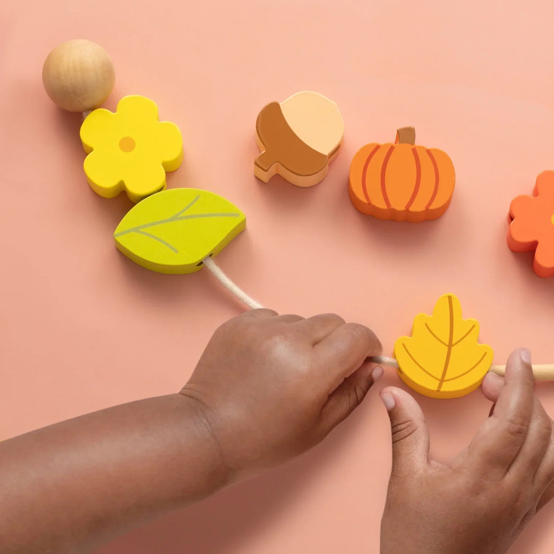 Tiny Land® Montessori Toys for Toddlers (19-24month) wooden toys Tiny Land
