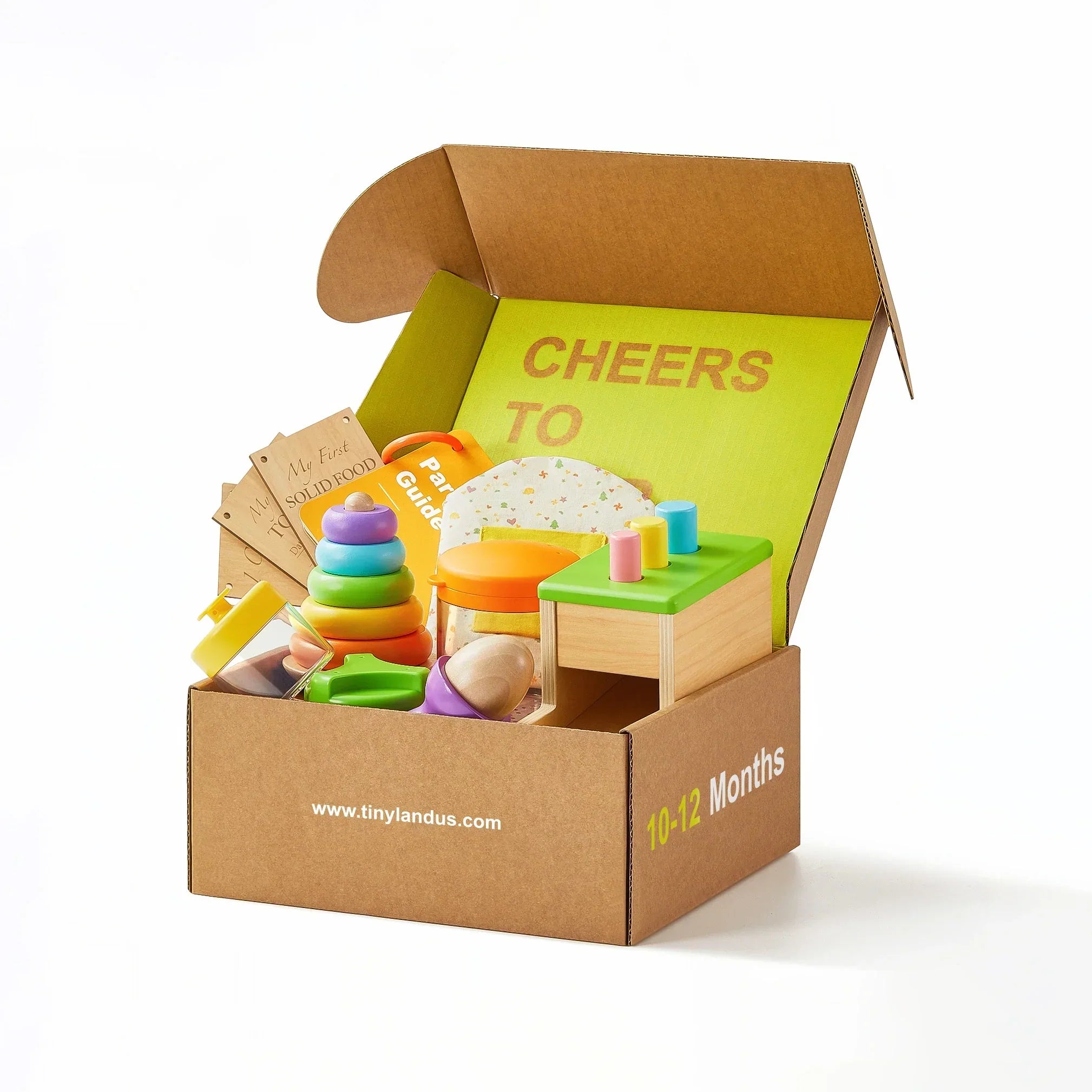 Tiny Land® Montessori Toys Set for Infants (10-12 month) Toys & Games Tiny Land