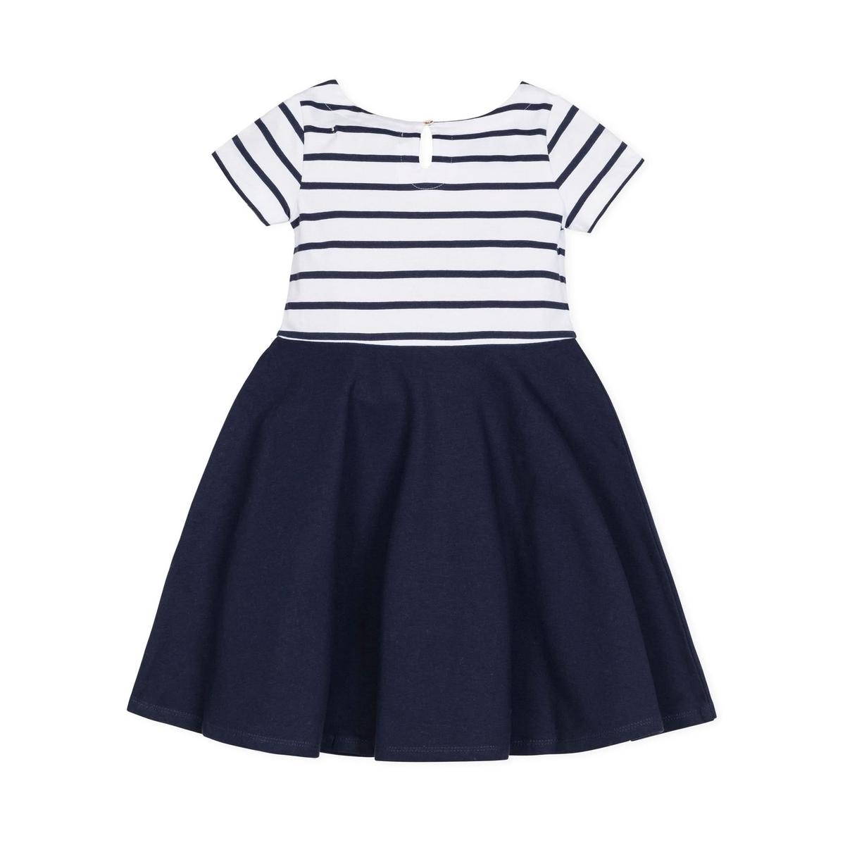 Short Sleeve Organic Knit Skater Dress - White and Navy Stripe