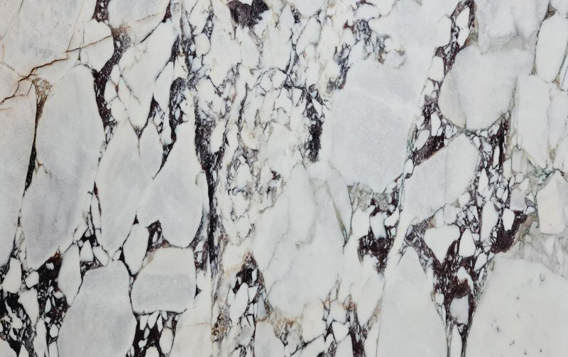 Calacatta Viola White Bookmatching Marble Slabs Polished - Livfloors Collection