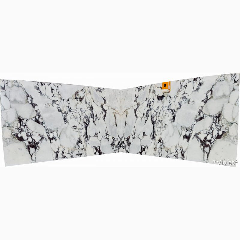 Calacatta Viola White Bookmatching Marble Slabs Polished - Livfloors Collection