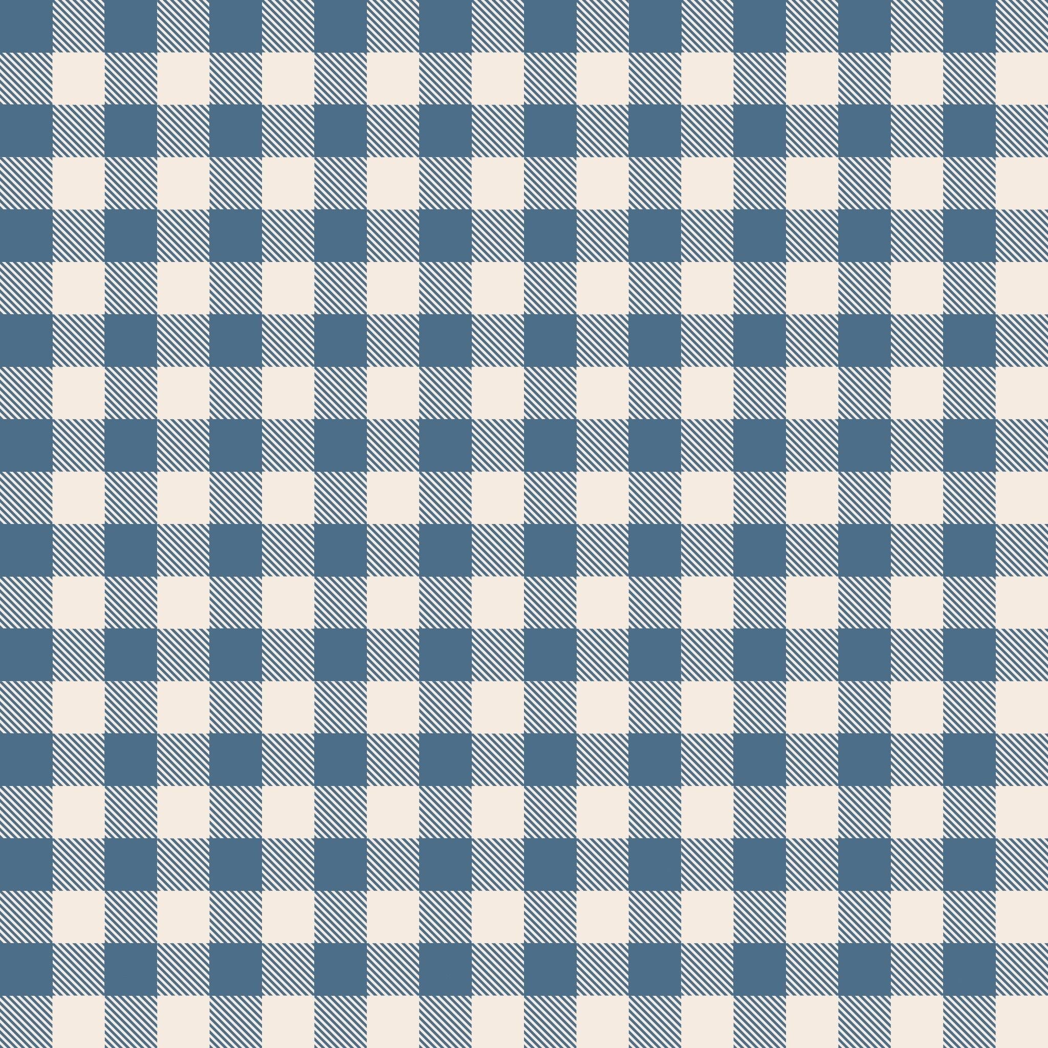 1.5 TOG Sleep Sack - Blue Gingham