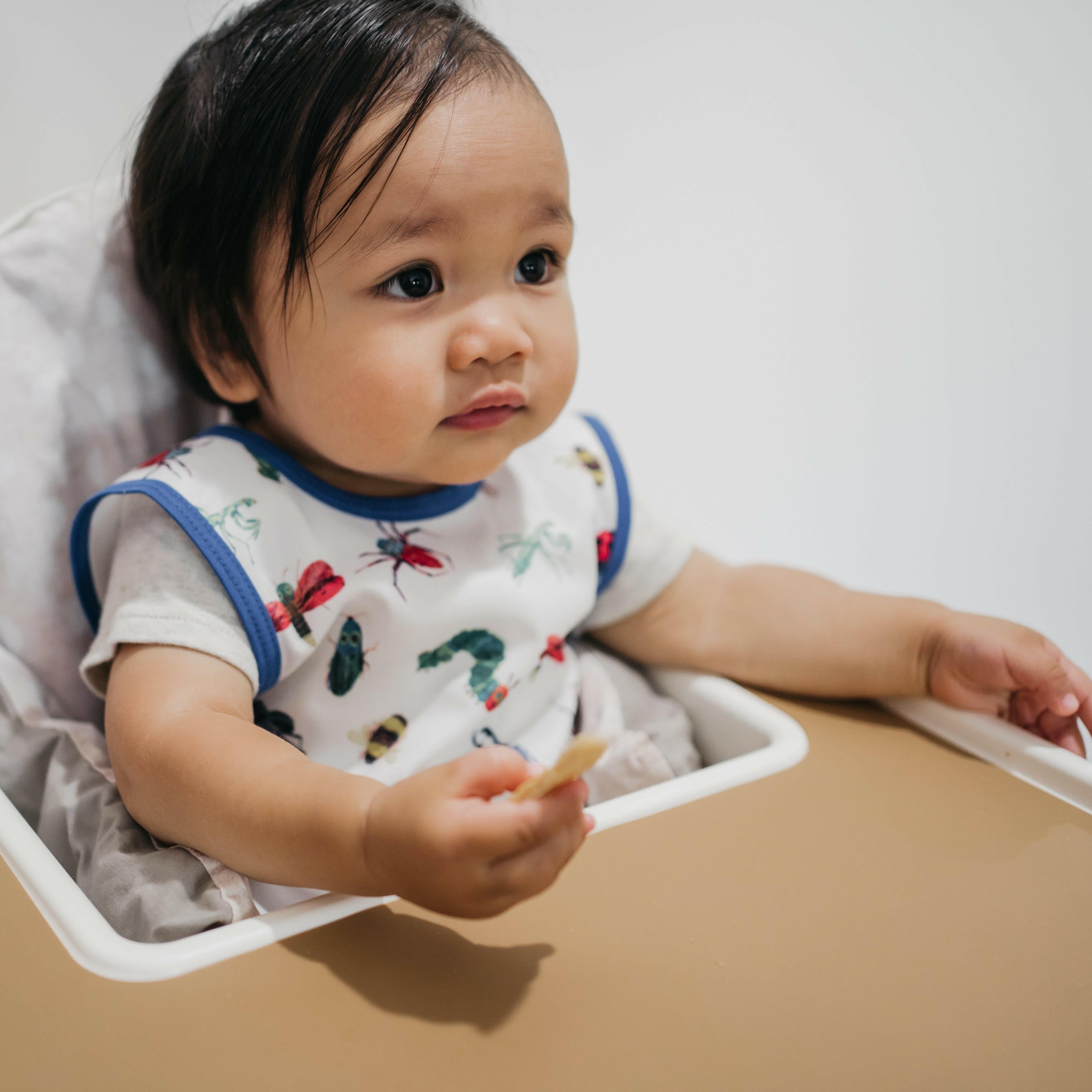 Bug World Bapron - from the World Of Eric Carle BapronBaby