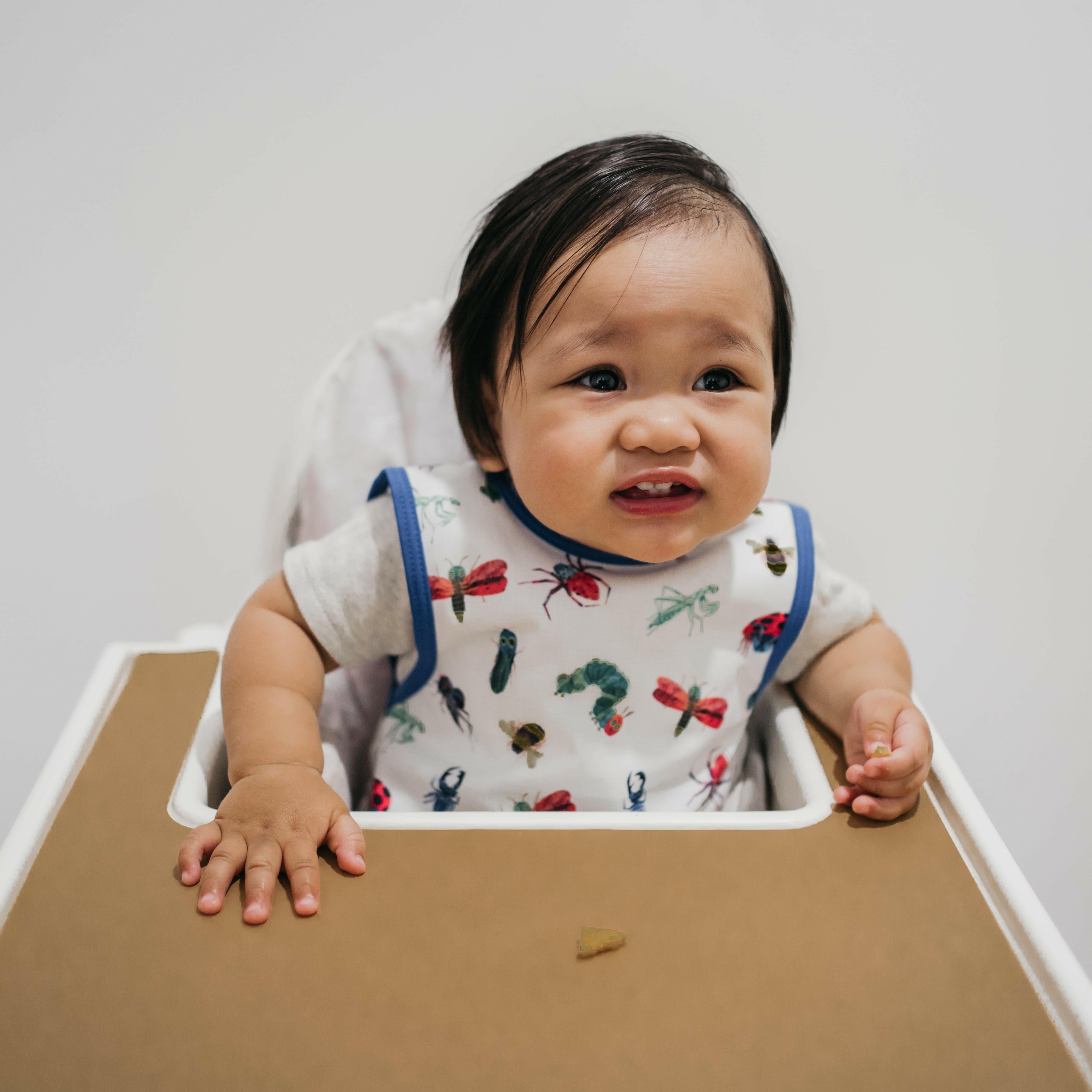 Bug World Bapron - from the World Of Eric Carle BapronBaby