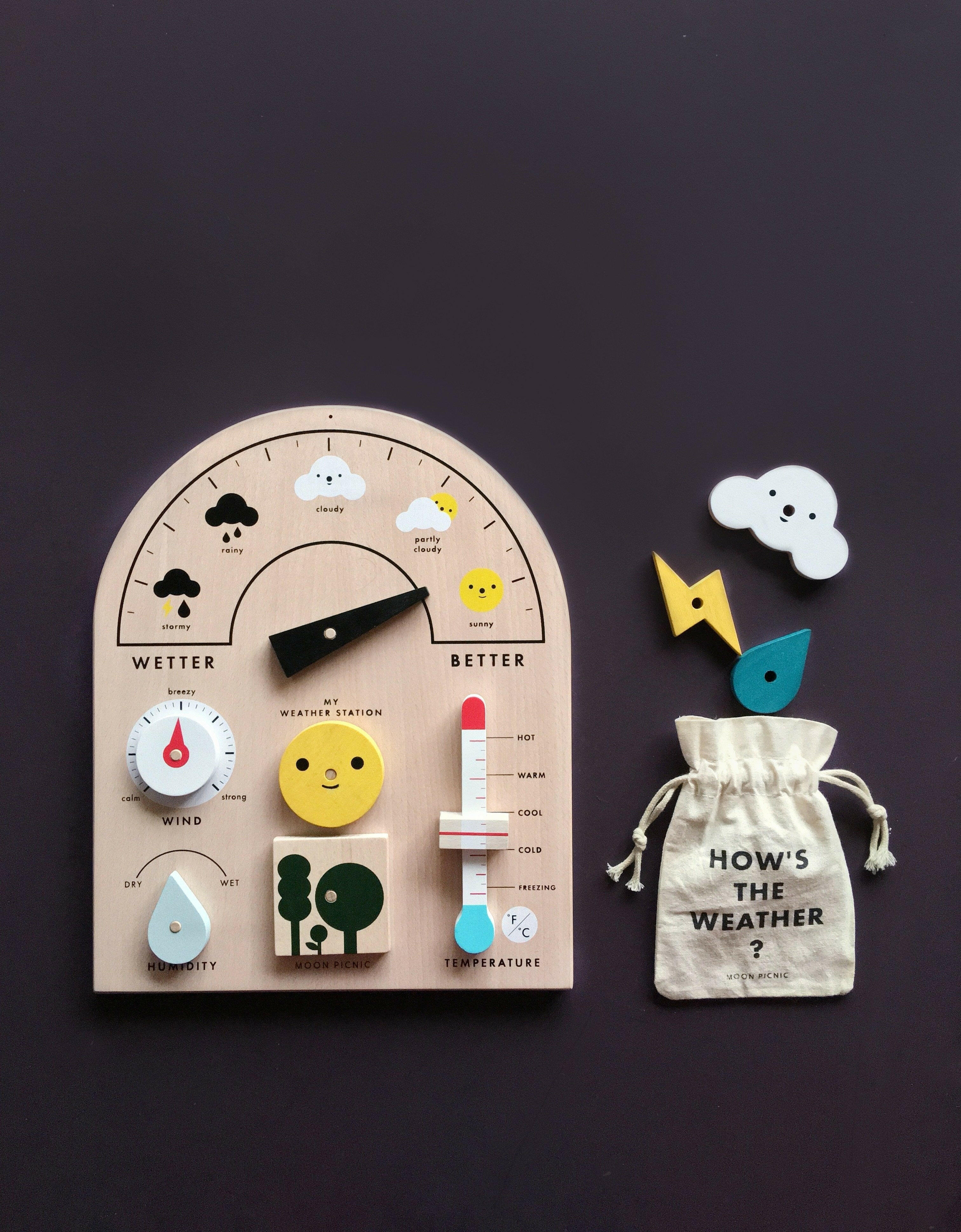 My Weather Station Kids Toys Moon Picnic