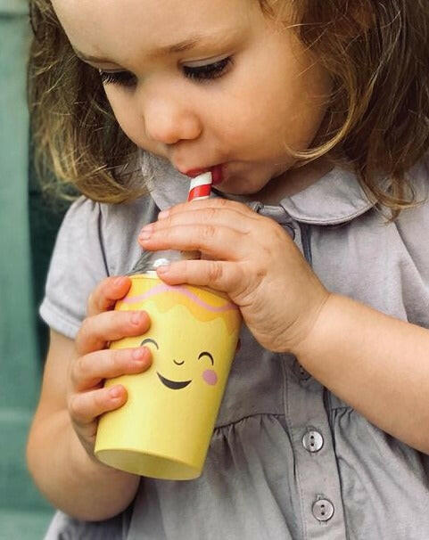 Mini Chef Fruity Blender Wooden Toys Tender Leaf