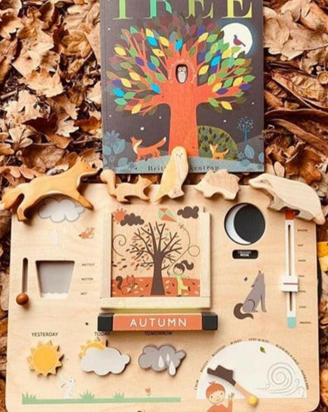 Weather Watch Kids Toys Tender Leaf