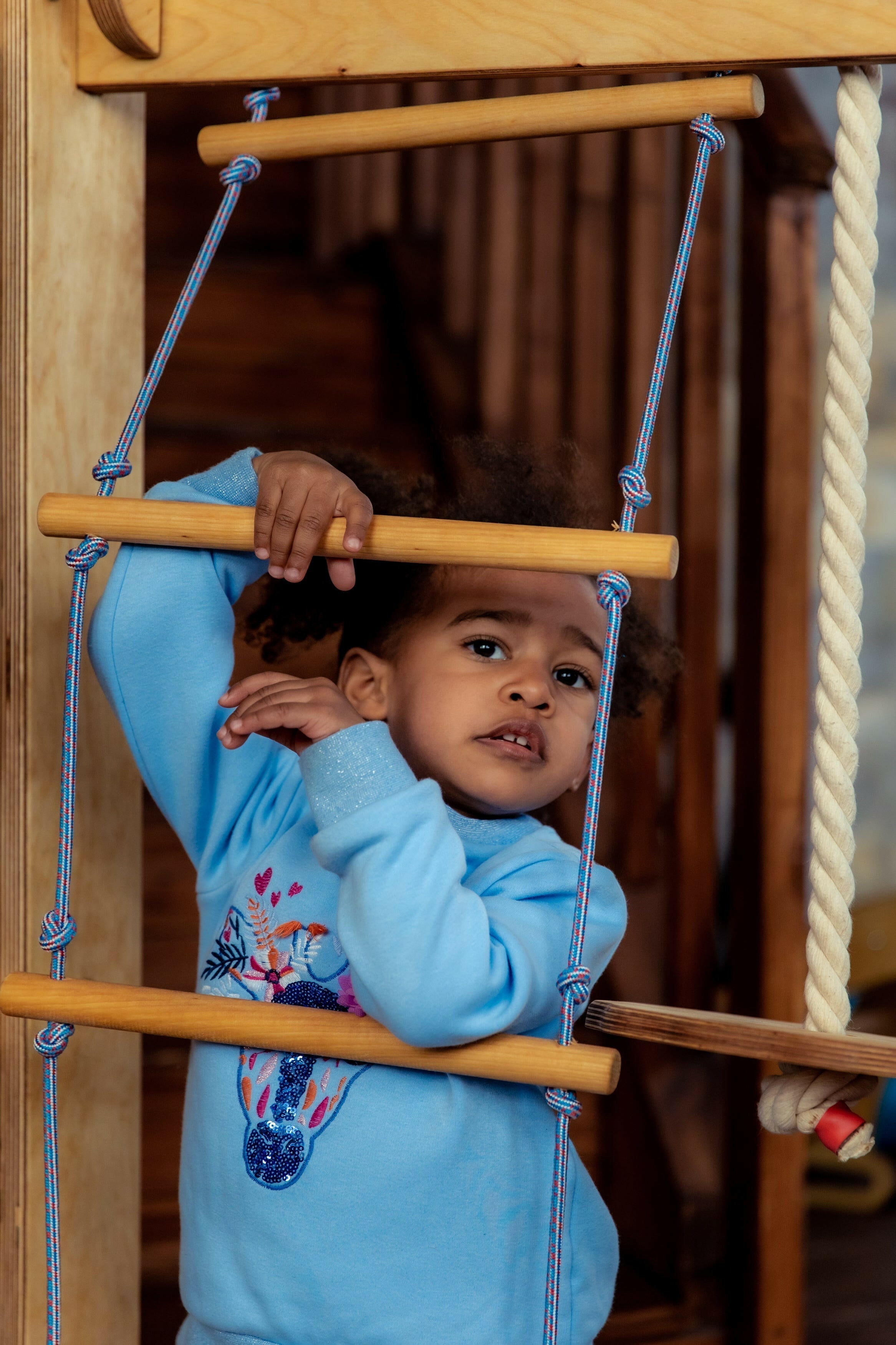 3in1 Swings Set: Rope Ladder + Gymnastic Rings + Disc Rope Swing 3in1 Swing Set Goodevas