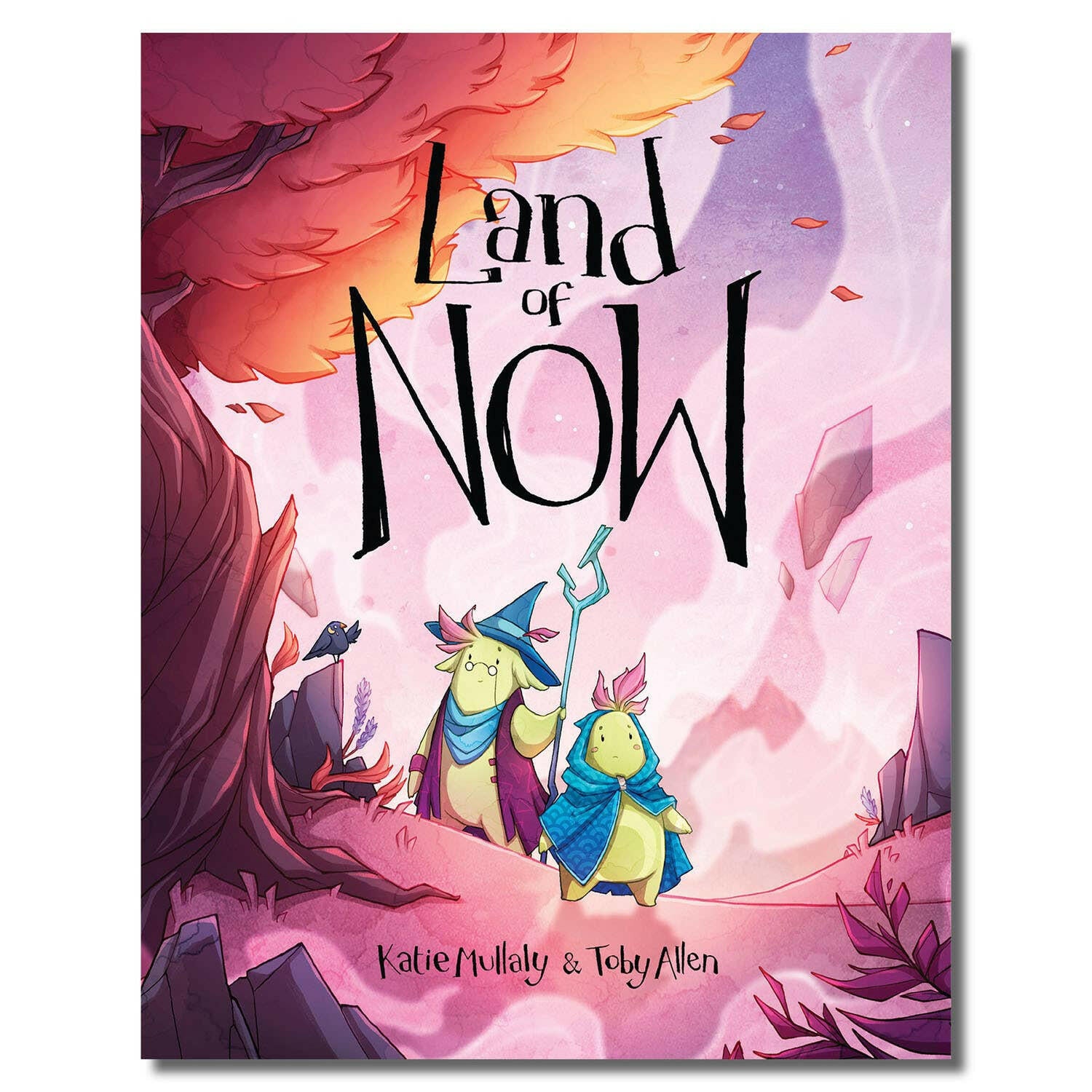 Land of NOW Children's Book Land of... Children's Books