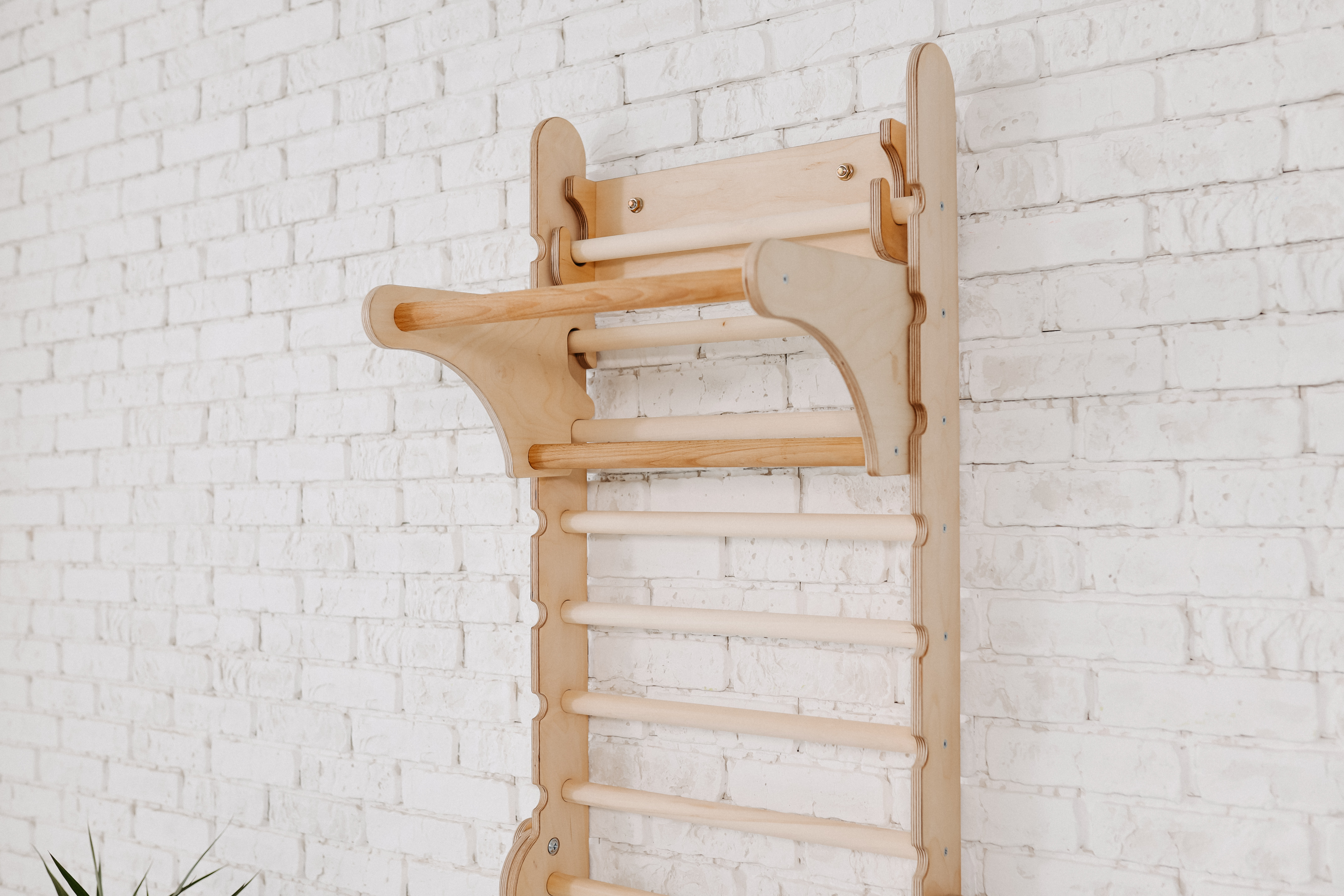Gym Addition to the Climbing Ladders Ladder Accessories Goodevas