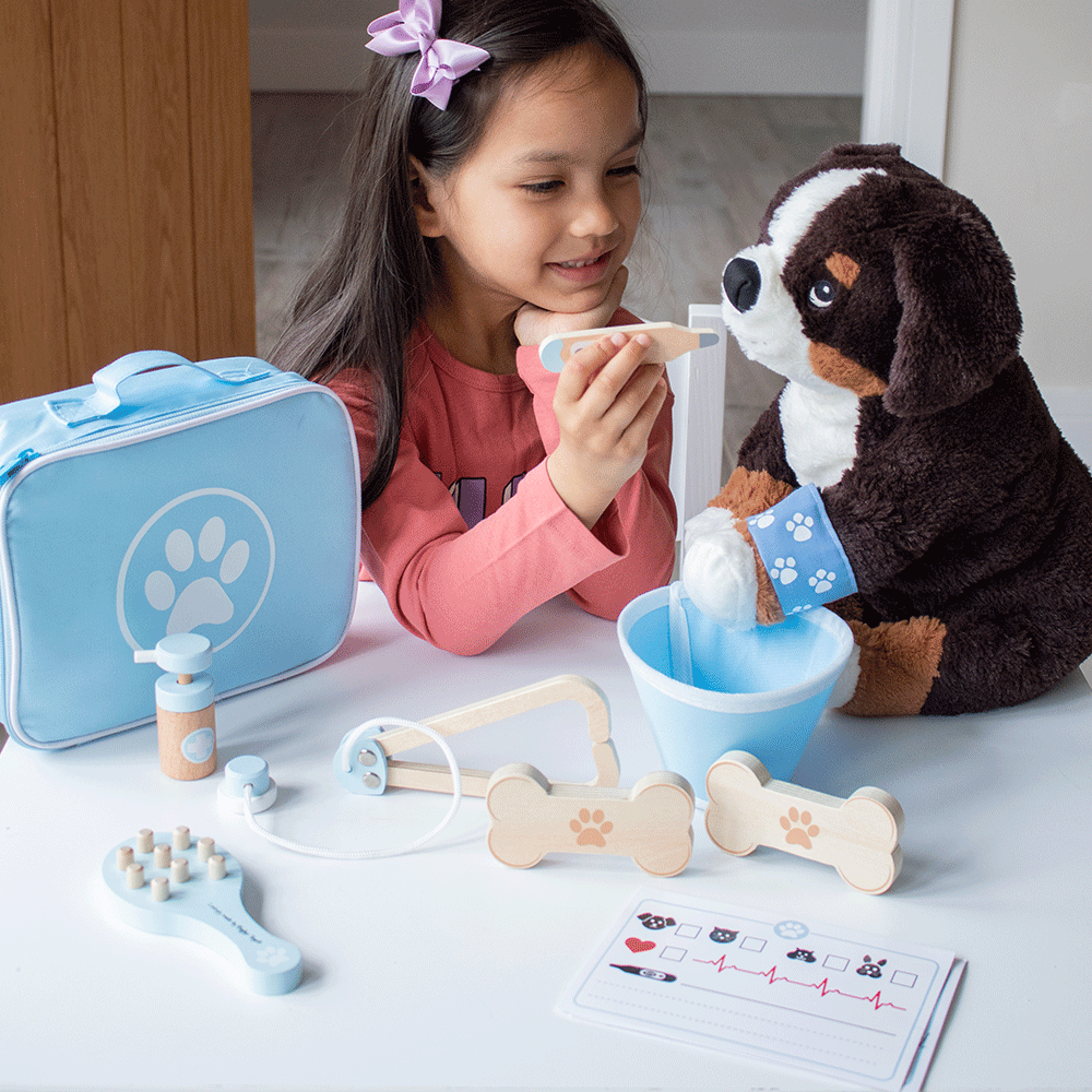 Veterinary Set by Bigjigs Toys US  Bigjigs Toys US