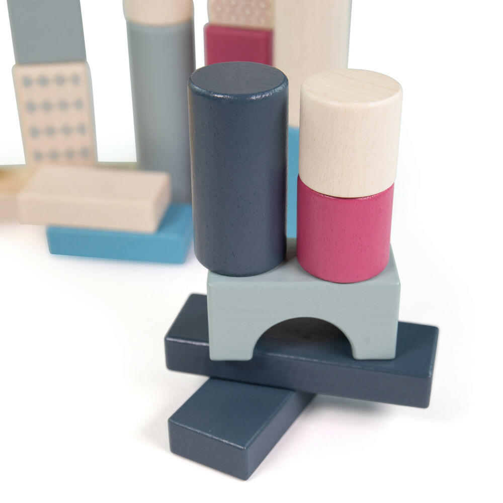 FSC Drum of 50 Bricks by Bigjigs Toys US  Bigjigs Toys US