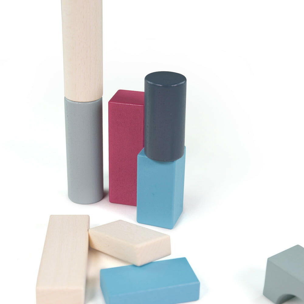 FSC Drum of 50 Bricks by Bigjigs Toys US  Bigjigs Toys US