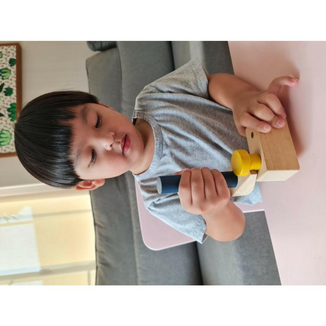 Handy Carpenter Set PlanToys