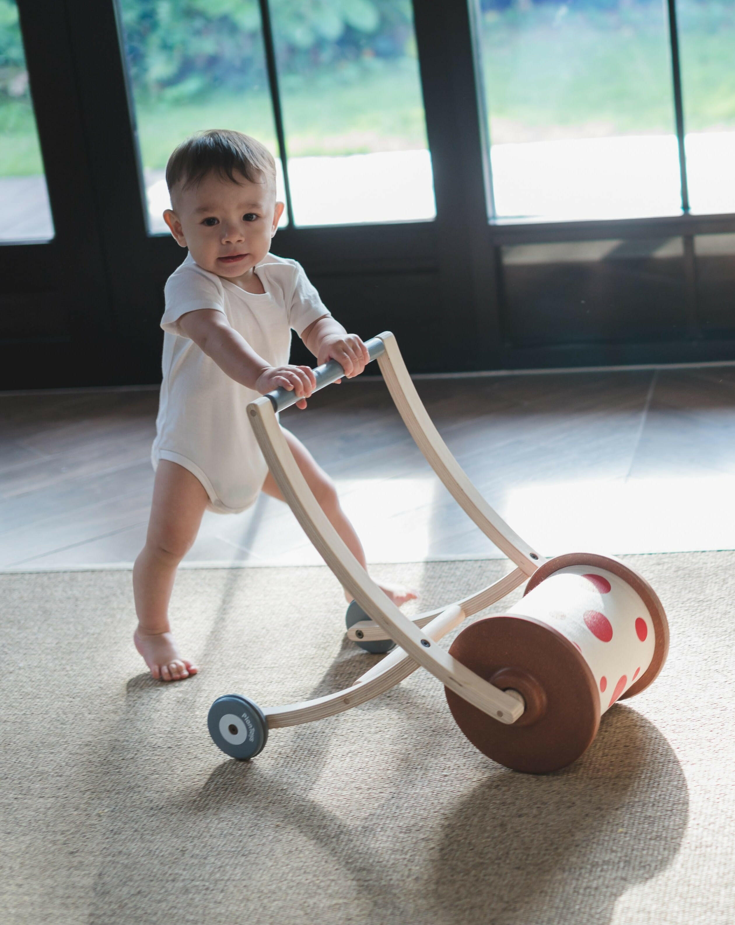 Plan Toys Roll N Walk Baby Toys PlanToys