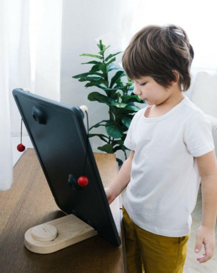 Wall Ball Game  PlanToys