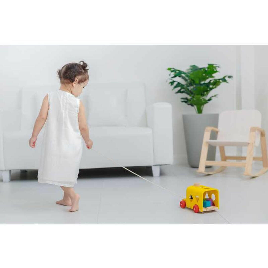 Sorting Bus  PlanToys