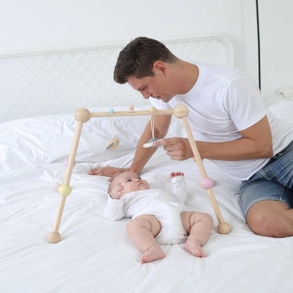 Plan Toys Play Gym Play Gyms PlanToys