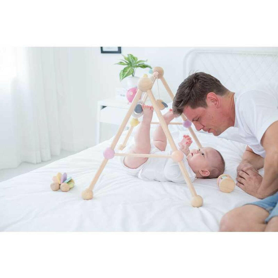 Play Gym - Pastel Series  PlanToys