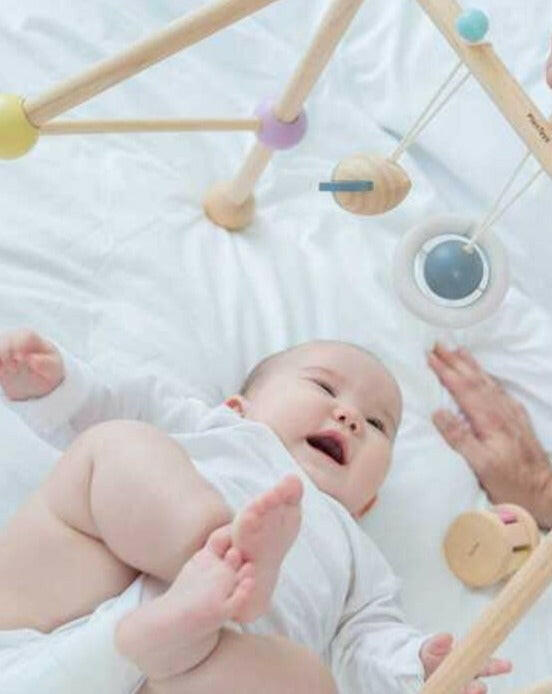 Play Gym - Pastel Series  PlanToys