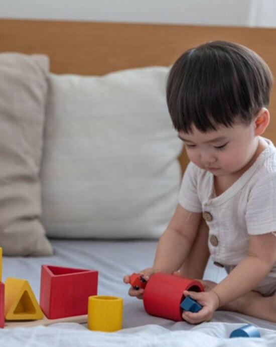 Nesting Puzzle - Unit Plus  PlanToys