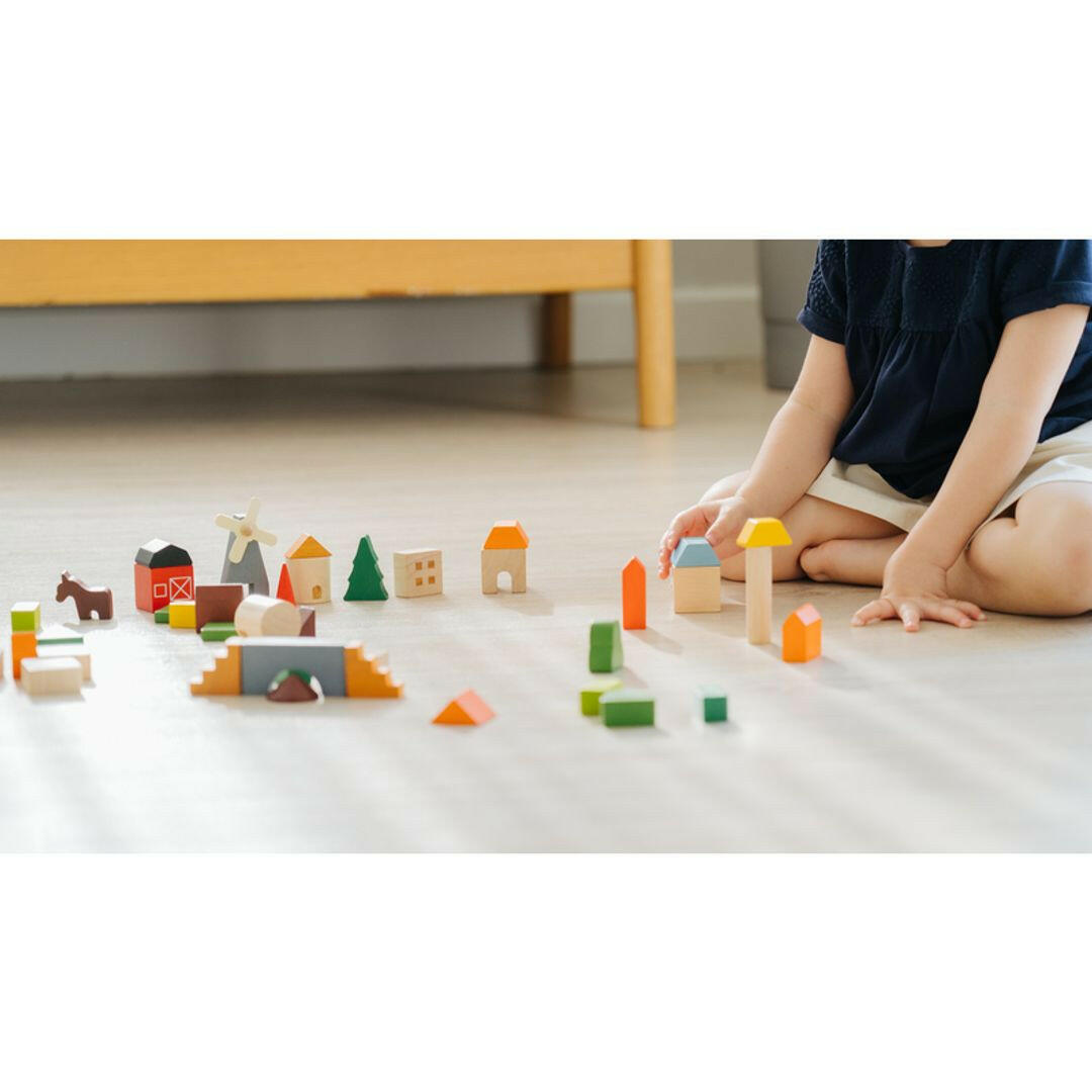 Countryside Blocks  PlanToys