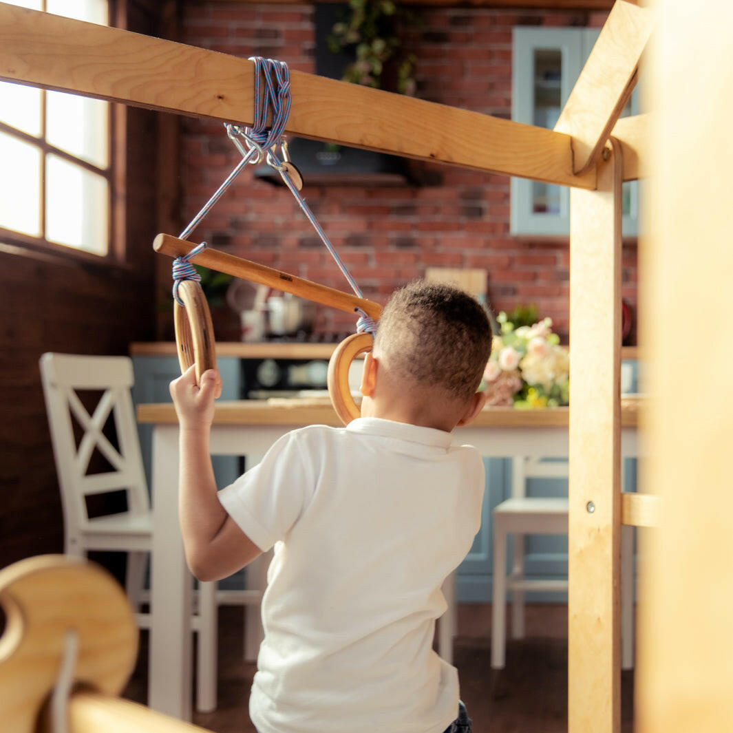 Indoor Wooden Playhouse with Triangle ladder, Slide Board and Swings Playhouses Goodevas
