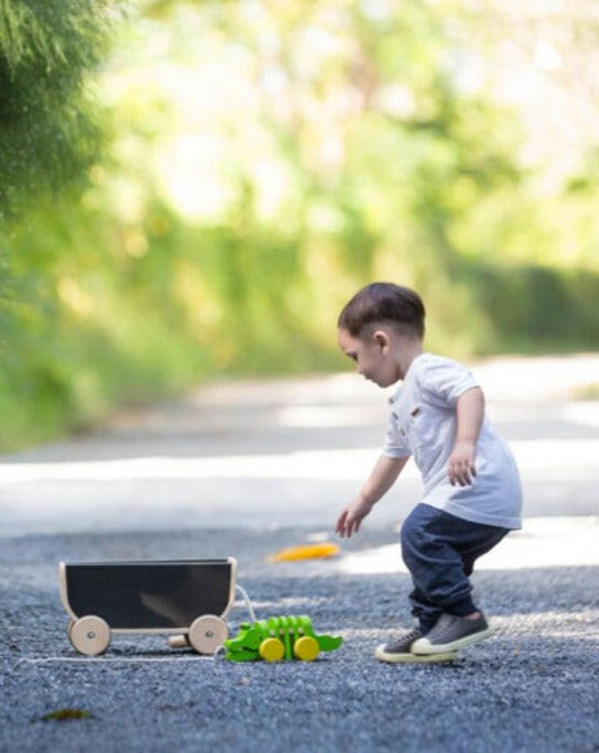 Wagon - Black  PlanToys