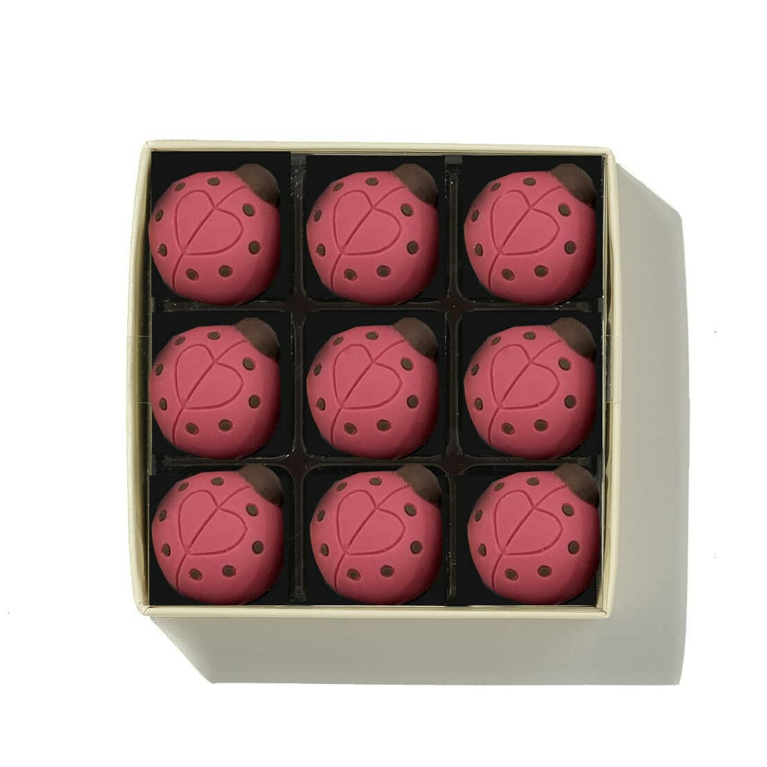 Chocolate Love Bugs Valentines Choc on Choc