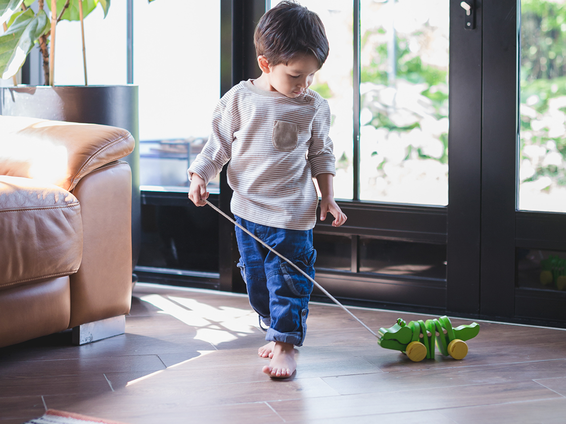 Dancing Alligator - Classic Push & Pull Toys PlanToys