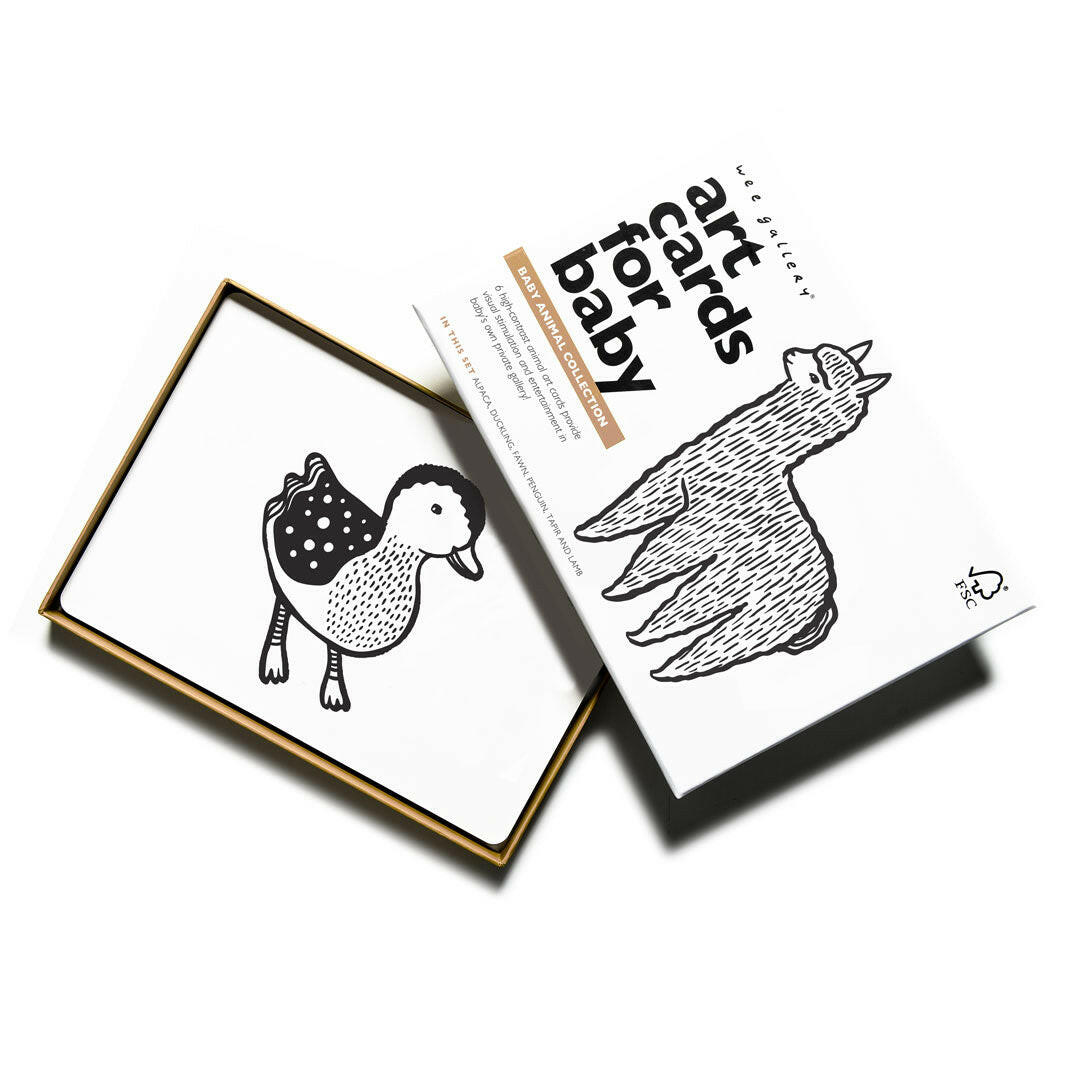 Baby Animal Art Cards Kids Toys Wee Gallery