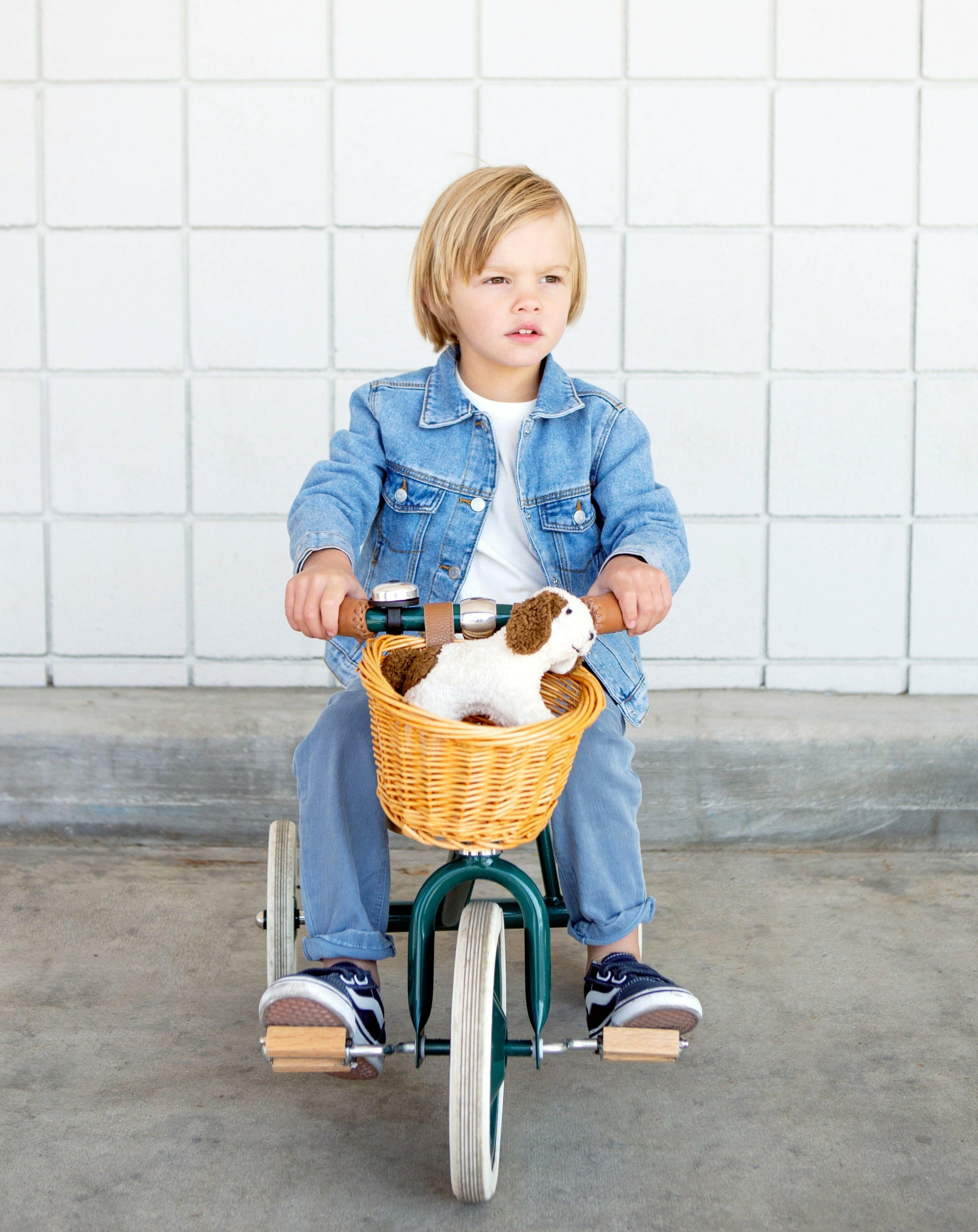 Banwood Trike - Green Tricycle Banwood