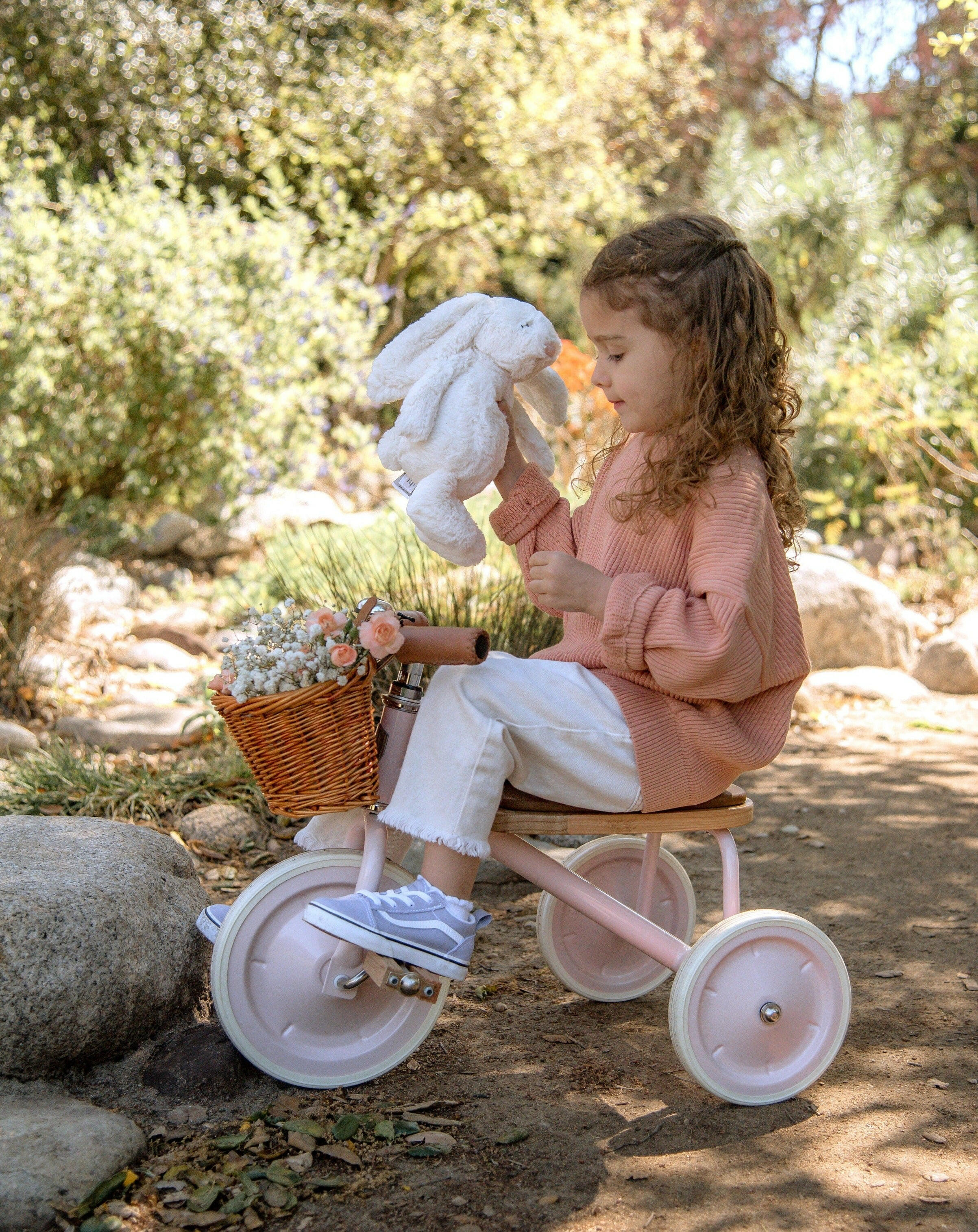 Banwood Trike - Pink Tricycle Banwood