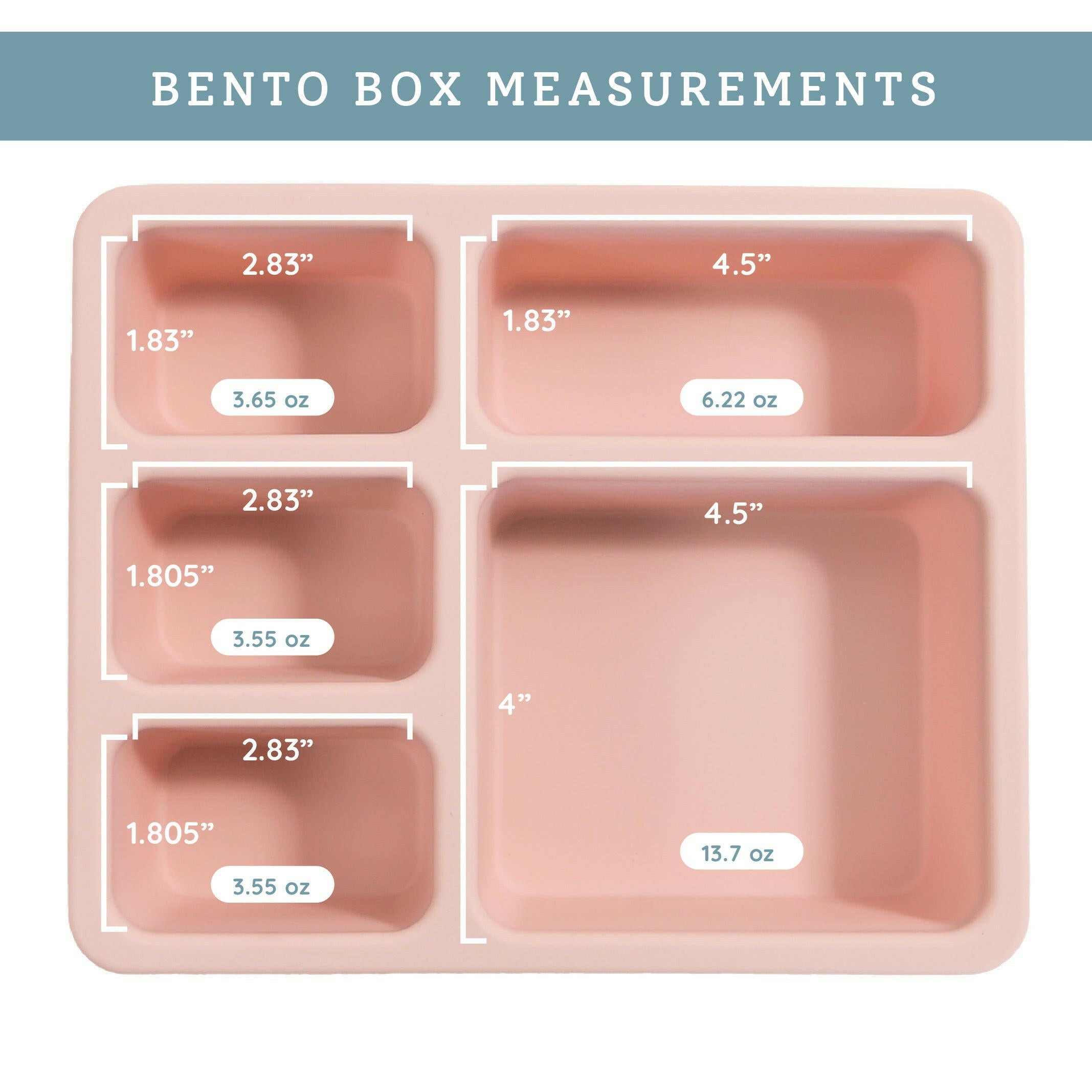 Silicone Bento Box Wildflower Ripe Peach Austin Baby Collection