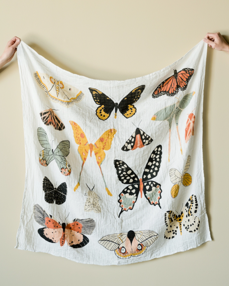 Butterfly Collector Swaddle Baby Essentials Clementine Kids