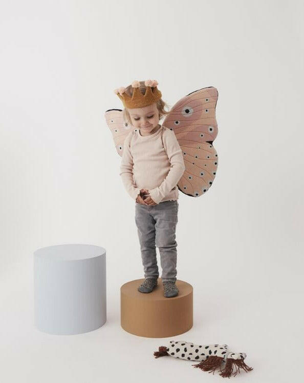 Butterfly Costume - Rose Costumes OYOY