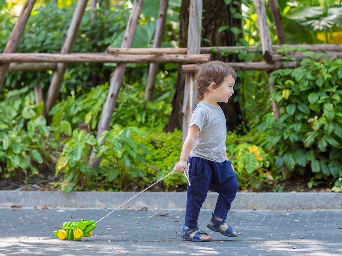 Dancing Alligator - Classic Push & Pull Toys PlanToys