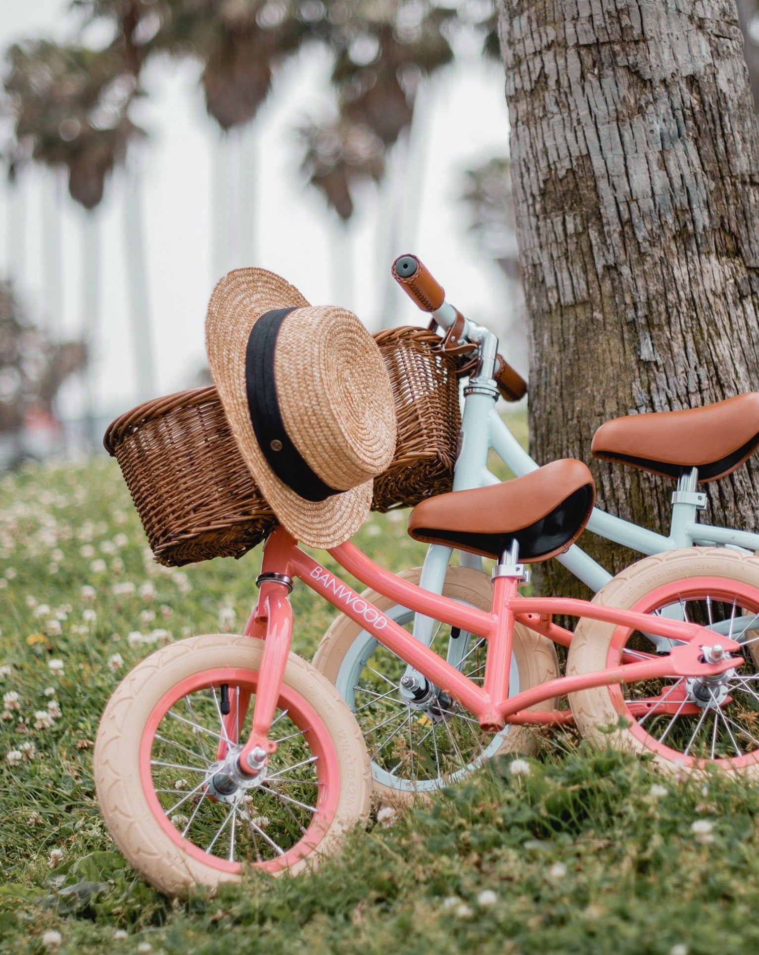 Banwood balance bike cheap pink