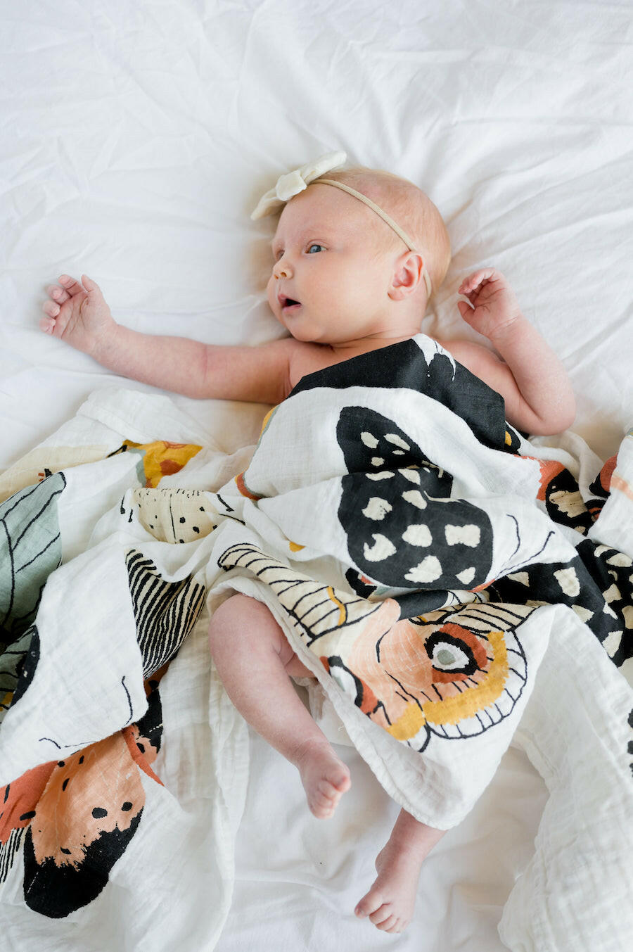 Butterfly Collector Swaddle Swaddles Clementine Kids