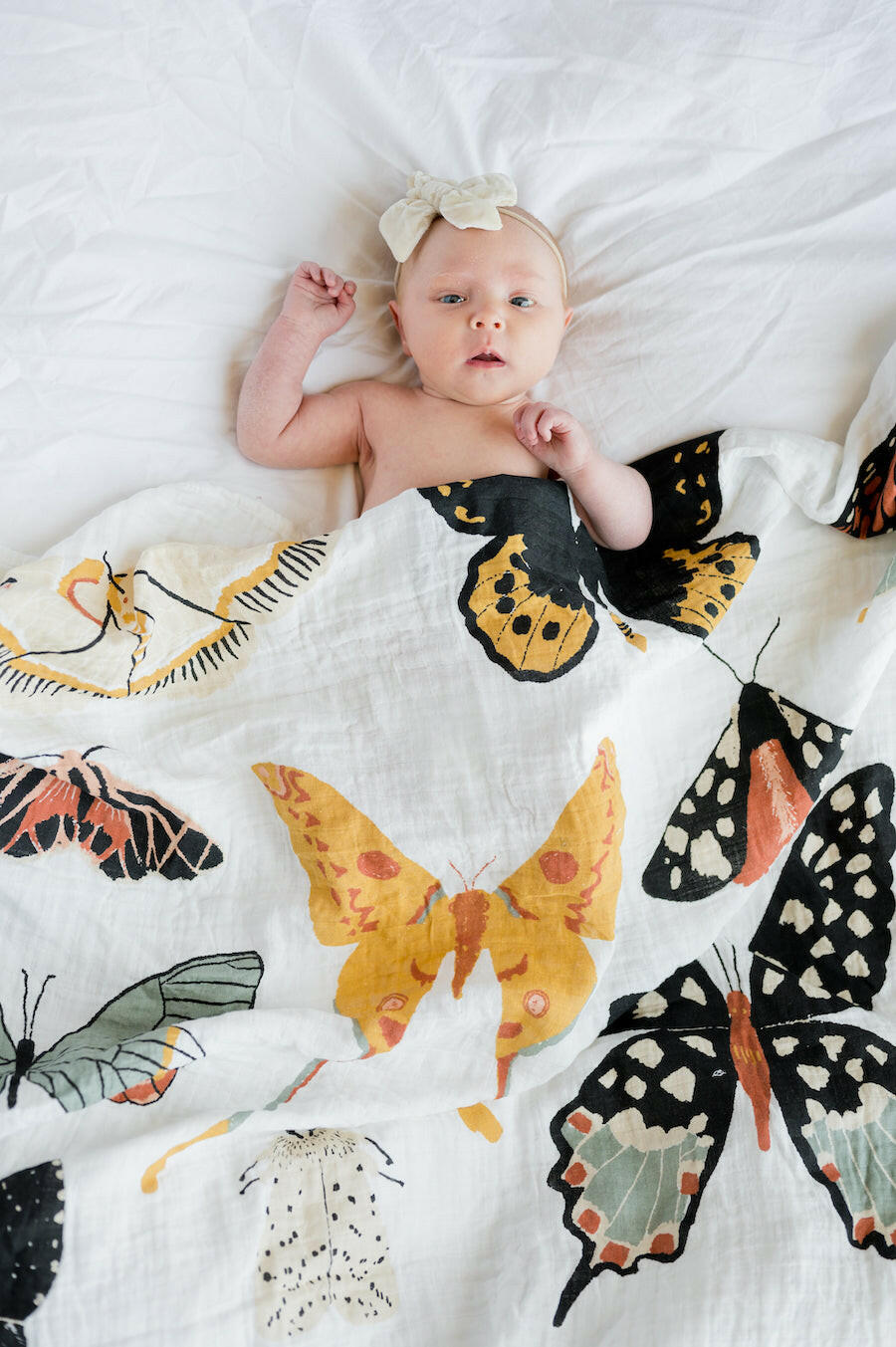 Butterfly Collector Swaddle Swaddles Clementine Kids